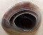 agate